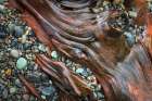 USA, Washington State, Seabeck. Close-up of driftwood and beach rocks. Art Print